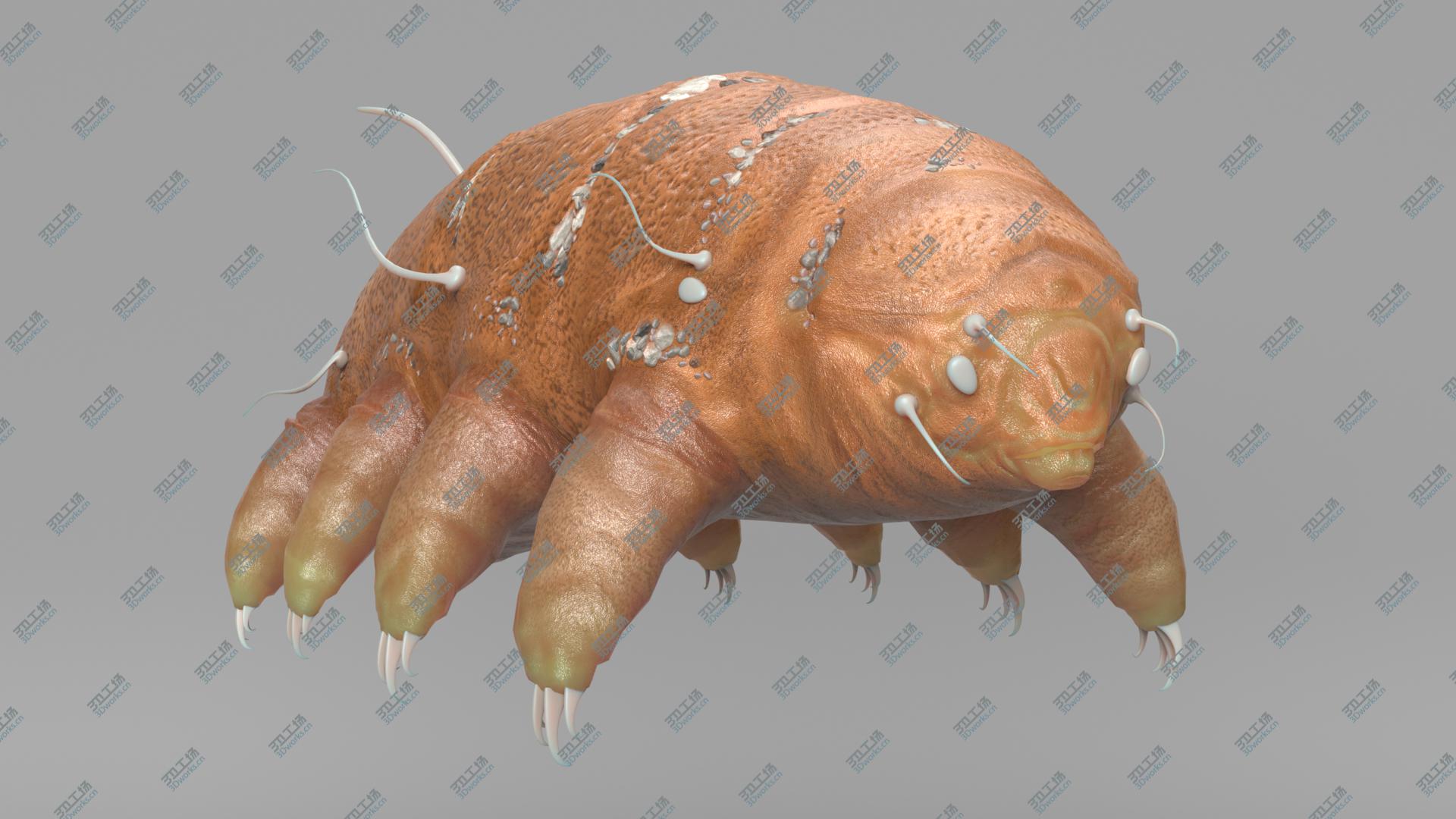 images/goods_img/202104023/Tardigrade 3D model/1.jpg